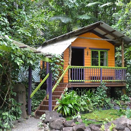 Rainforest Hideaway Cape Tribulation Exterior foto