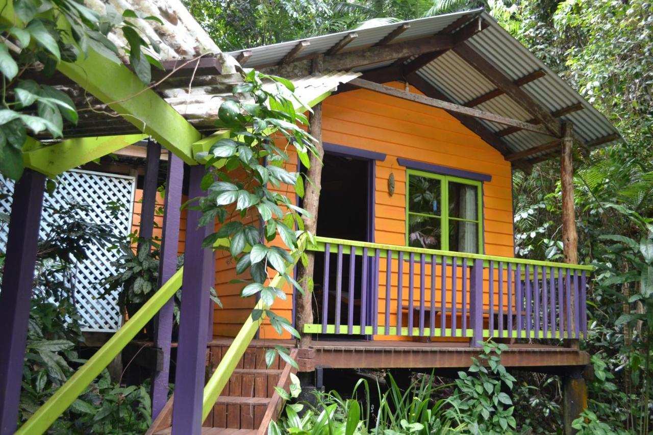 Rainforest Hideaway Cape Tribulation Exterior foto