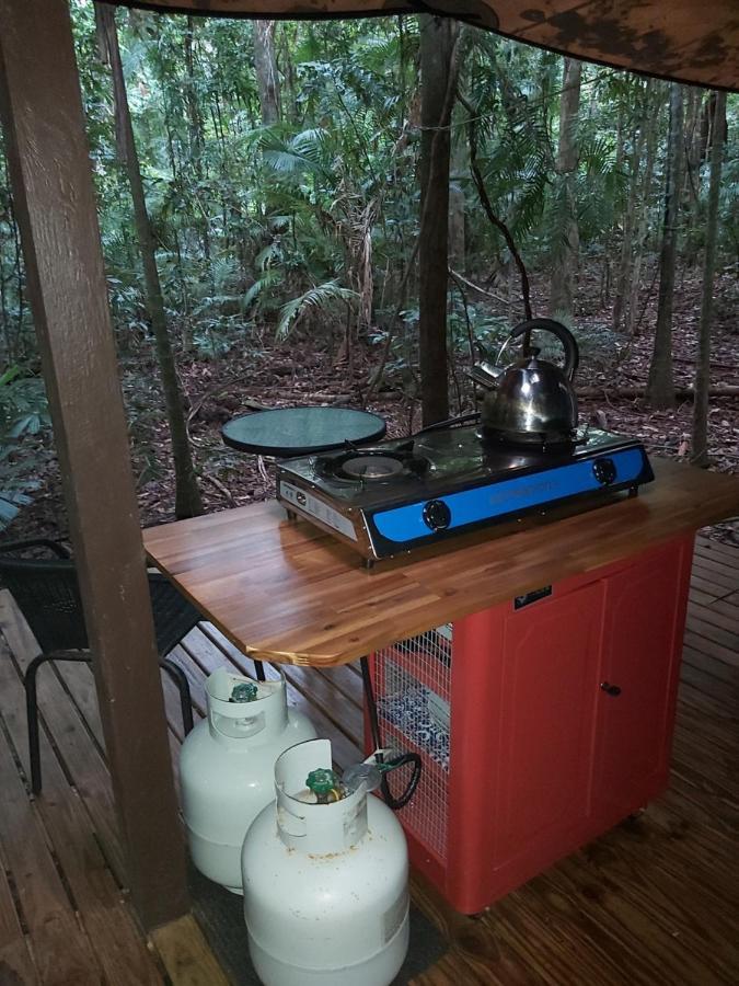 Rainforest Hideaway Cape Tribulation Exterior foto