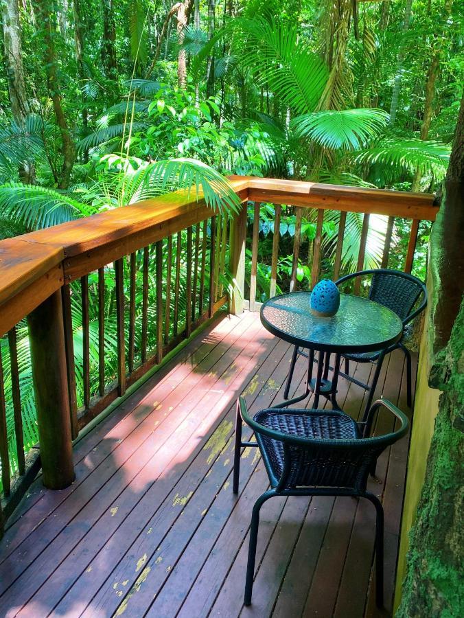 Rainforest Hideaway Cape Tribulation Exterior foto