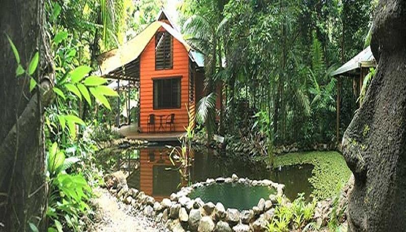 Rainforest Hideaway Cape Tribulation Quarto foto