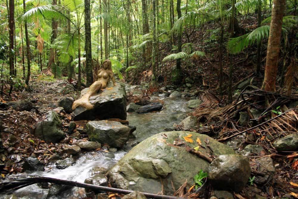Rainforest Hideaway Cape Tribulation Exterior foto